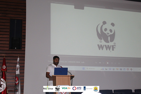 wwf17